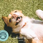 Laurus Hotel