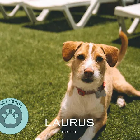 Laurus 2* Lourinhã