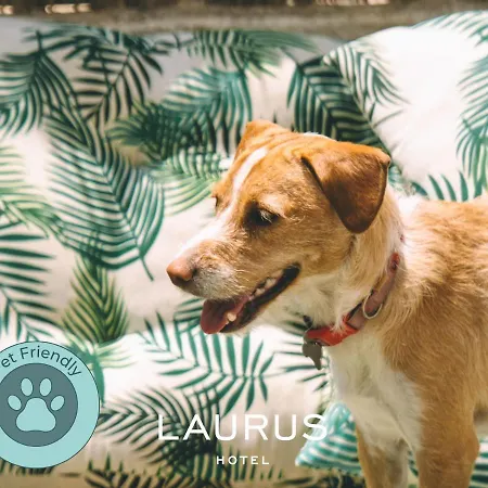 Laurus ホテル