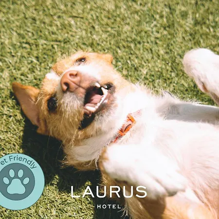Laurus فندق