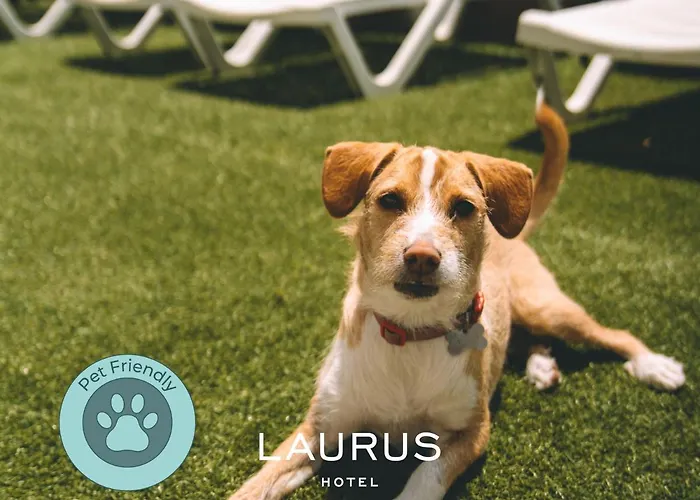 Laurus 2* Лориньян